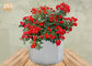 Frosted Clay Plant Pots Homewares Decorative Items Geometric Flower Pots Garden Pots White Color