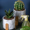 Cement Flower Pots Mini Succulents Plant Pots Round Planters Tabletop Planters Cactus Planters
