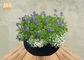 Waterproof Fiberclay Pot Planter Clay Flower Pots White Black Gray Color Round Outdoor Planters