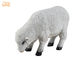 Indoor White Polyresin Dolly Sheep Statue Animal Figurines Floor Sculpture Decor