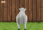 White Life Size Fiberglass Dolly Sheep Statue Animal Sculpture Garden Decor