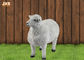 White Life Size Fiberglass Dolly Sheep Statue Animal Sculpture Garden Decor