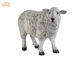Dolly Sheep Polyresin Animal Figurines