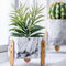 Marble Finish Cactus Flower Pots Homewares Decorative Items Succulents Plant Pots Cement Table Vases