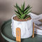 Mini Succulents Planters Tabletop Pots Clay Flower Pots Marble Flowerpots Cement Pot Planters